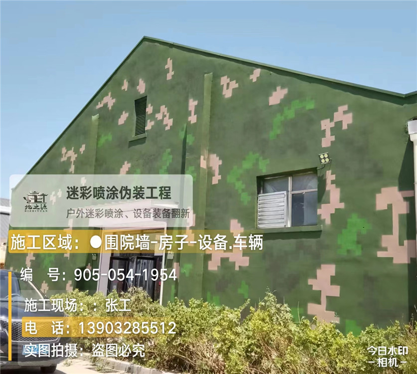 安徽外墙数码迷彩漆施工报价清单（100㎡标准墙面测算）